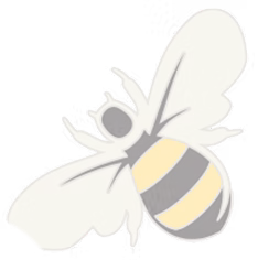 Transparent Bee 1.png
